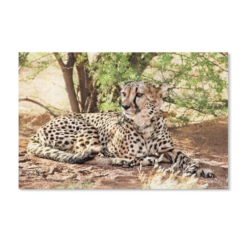 1000 Stück Puzzle，Katze，Erwachsene Papier puzzles, Kinder Entdecken Sie Kreativität Wandkunst Dekor Spielzeug（38x26cm） von YYHMKBYY