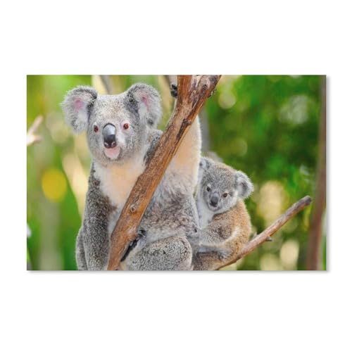 1000 Stück Puzzle，Koala-Tier，Erwachsene Kinder Papier spielzeugLernspiel（38x26cm）-F58 von YYHMKBYY