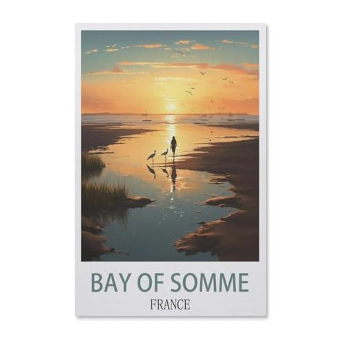 1000 Teile Puzzle Für Erwachsene Und Kinder，Bucht der Somme Frankreich，Stressabbau Herausforderung Bodenpuzzle DIY Home Wanddekoration（50x70cm）-AB64 von YYHMKBYY