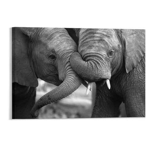 Foto von Zwei Elefanten, die interagieren，Puzzle 1000 Teile für Erwachsene, Klassische Puzzle Teenager Jungen Mädchen Puzzle Puzzles Spiele Pädagogisches Geschenk Home Decor（50x70cm）-171 von YYHMKBYY