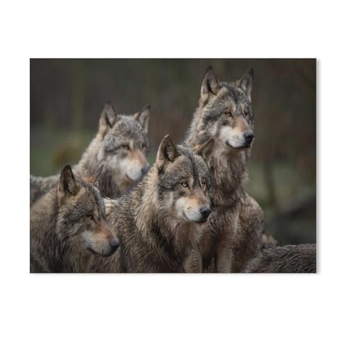 Jigsaw Puzzles 1000 Stück，Graues Wolfsrudel im Wald，Für Holz Kinder Spiele Lernspielzeug（75x50cm-286 von YYHMKBYY