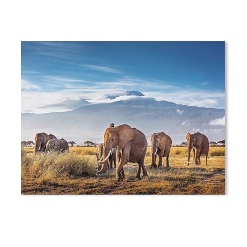 Jigsaw Puzzles 1000 Stück，Herde großer afrikanischer Elefanten spaziert vor dem Kilimandscharo in Kenia，Für Karton Kinder Spiele Lernspielzeug（38x26cm-336 von YYHMKBYY