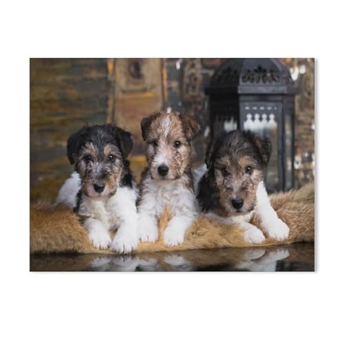 Jigsaw Puzzles 1000 Stück，Süße Foxterrier-Welpen，Für Holz Kinder Spiele Lernspielzeug（75x50cm-536 von YYHMKBYY