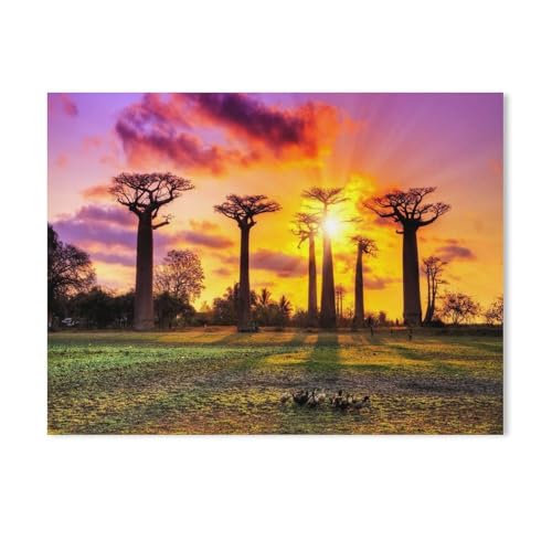 Karton Puzzle 1000 Stück，Affenbrotbäume, Baobab, bei Sonnenuntergang in Madagaskar，Erwachsene Kinder Spielzeug Dekompression Spiel（50x70cm-638 von YYHMKBYY