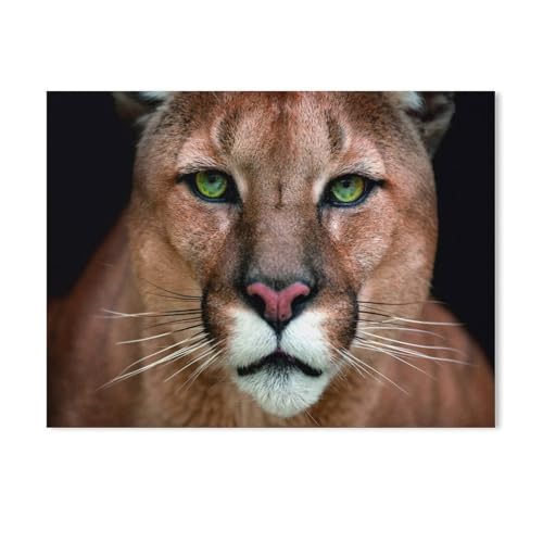 Karton Puzzle 1000 Stück，Im Blick eines Pumas，Erwachsene Kinder Spielzeug Dekompression Spiel（50x70cm-263 von YYHMKBYY