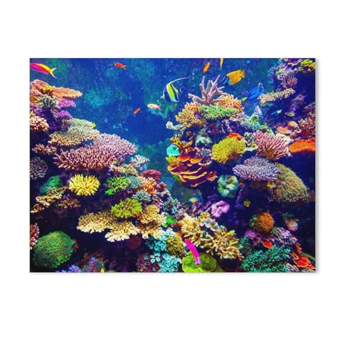 Karton Puzzle 1000 Stück，Korallenriff und Tropische Fische im Sonnenlicht，Erwachsene Kinder Spielzeug Dekompression Spiel（38x26cm-313 von YYHMKBYY