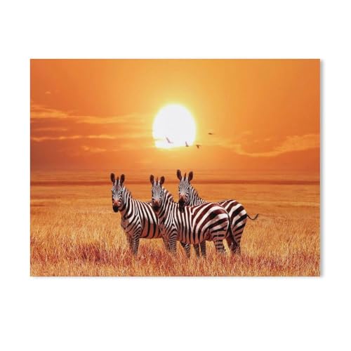 Kleine Zebra-Gruppe in der Abendsonne über der Savanne in Afrika，Puzzles, 1000-teiliges Puzzle Für Erwachsene Und Kinder Ab 10 Jahren（38x26cm-56 von YYHMKBYY