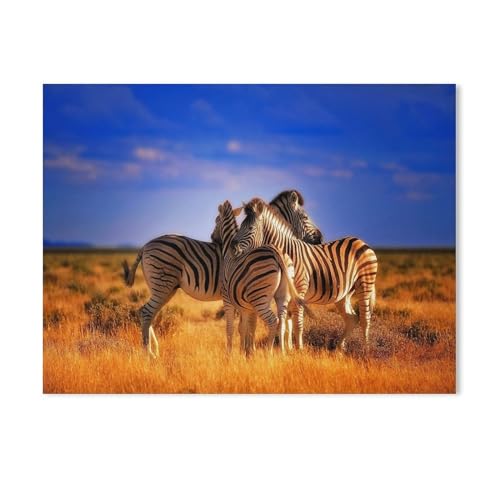 Puzzle，DREI Zebras Machen eine Pause，Für Kinder Und Erwachsene Holz Personalisiertes Puzzle-Spaß-Spiel 1000pcs（75x50cm-346 von YYHMKBYY