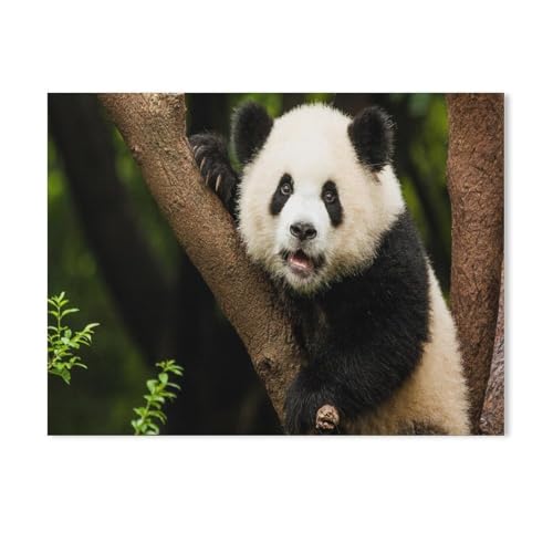 Puzzle，Panda in seinem natürlichen Lebensraum，Für Kinder Und Erwachsene Holz Personalisiertes Puzzle-Spaß-Spiel 1000pcs（75x50cm-271 von YYHMKBYY