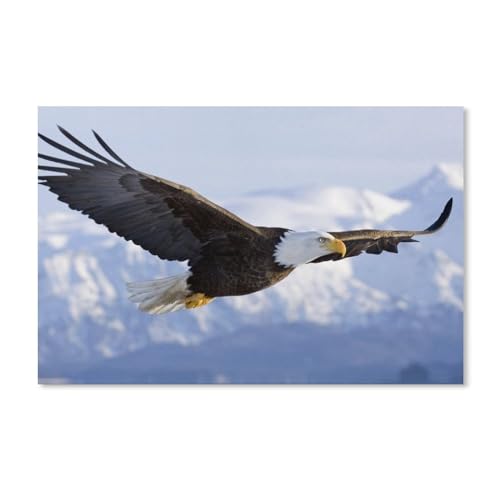 Puzzle 1000 Stück，Adler fliegt über Schneeberg，Für PapierErwachsene Spielzeug Dekompression Spiel（38x26cm）-E16 von YYHMKBYY