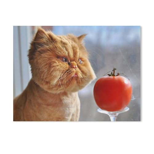 Puzzle 1000 Stück，Lustige Katze und rote Tomate，Karton Kinderspielzeug Dekompression Spiel（50x70cm-410 von YYHMKBYY