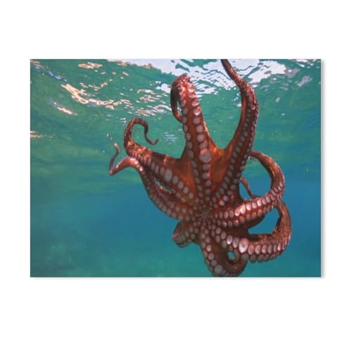 Puzzle 1000 Stück，Unterwasserfoto von schwimmendem Oktopus Schwimmen in tropischer Bucht，Für Holz Erwachsene Spielzeug Dekompression Spiel（75x50cm-319 von YYHMKBYY