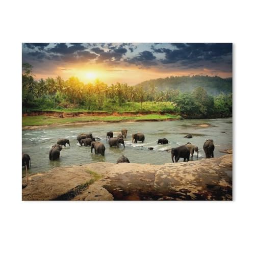 Puzzle 1000 Teile，Elefantenherde beim Baden im Dschungel von Sri Lanka，DIY Handwerk Geschenk（38x26cm-450 von YYHMKBYY