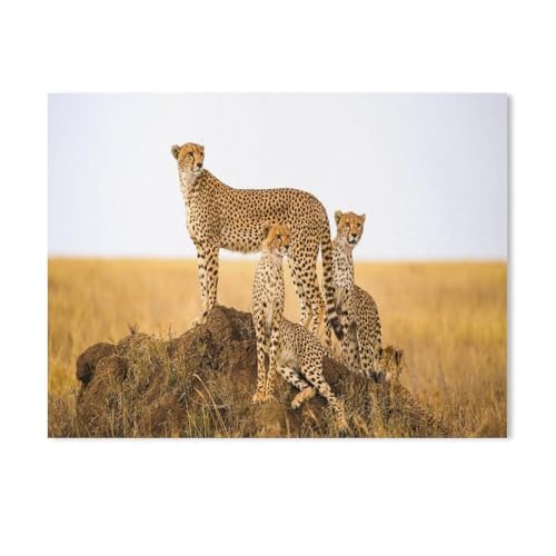 Puzzle 1000 Teile，Tiere, Safari, Geparden，Karton Adult Toys Dekompressionsspiel（38x26cm-333 von YYHMKBYY