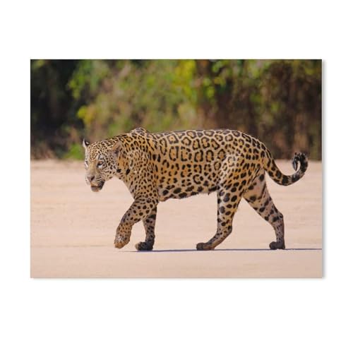 Puzzle 1000 Teile，Weiblicher Jaguar，DIY Handwerk Geschenk（38x26cm-275 von YYHMKBYY