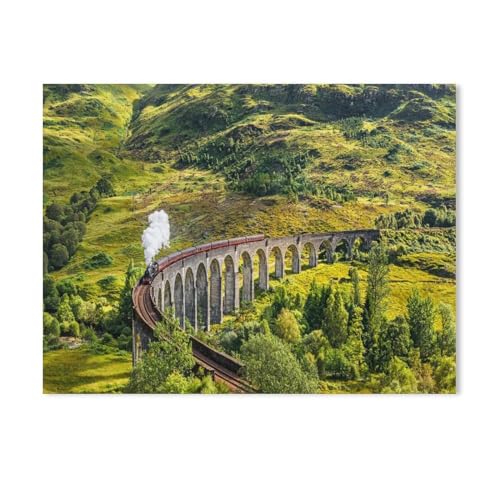 Puzzle 1000 Teile Erwachsene Kinde Spaß Lernspielzeug Geschenke，Glenfinnan Railway Viaduct in Schottland mit Dampfzug（50x70cm-502 von YYHMKBYY