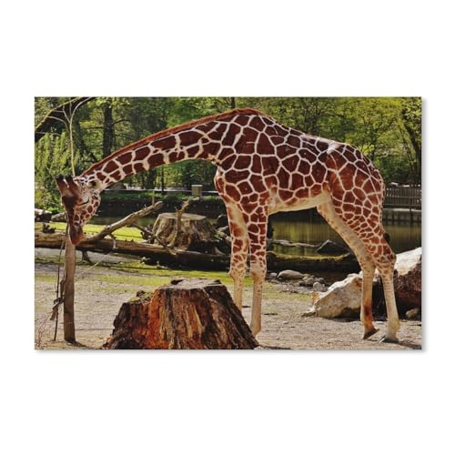 Puzzle 1000 Teile Erwachsene Kinde Spaß Lernspielzeug Geschenke，Kuba（38x26cm） von YYHMKBYY