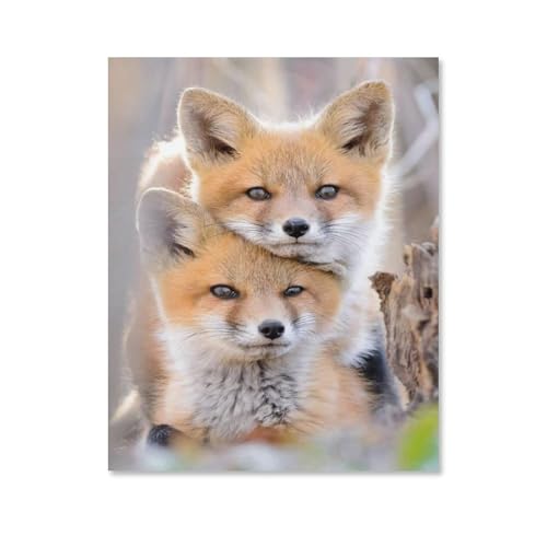 Puzzle Für Erwachsene 1000 Teile DIY Papier Puzzles Erwachsene Kinder Puzzle Klassisches Puzzle，Kleiner Fuchs，1000 Teile Puzzle Geschenke Für Liebhaber Oder Freunde（50x70cm）-F6 von YYHMKBYY