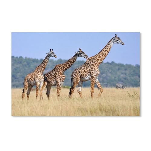 klassisches Puzzle 1000 Stück，3 Giraffen auf der Wiese，Einzigartige Heimdekorationen Und Geschenke（38x26cm）-H15 von YYHMKBYY