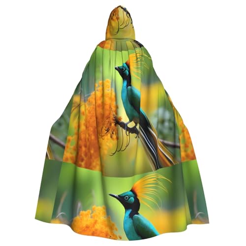 YYHWHJDE Langer Umhang mit Kapuze und Eisvogel-Muster, Halloween, Erwachsene, für Rollenspiele, Bühnenkostüme, Partys, pflegeleicht YYHWHJDE Langer Umhang mit Kapuze und Eisvogel-Muster, Halloween, Erwachsene, für Rollenspiele, Bühnenkostüme, Partys, pflegeleicht von YYHWHJDE