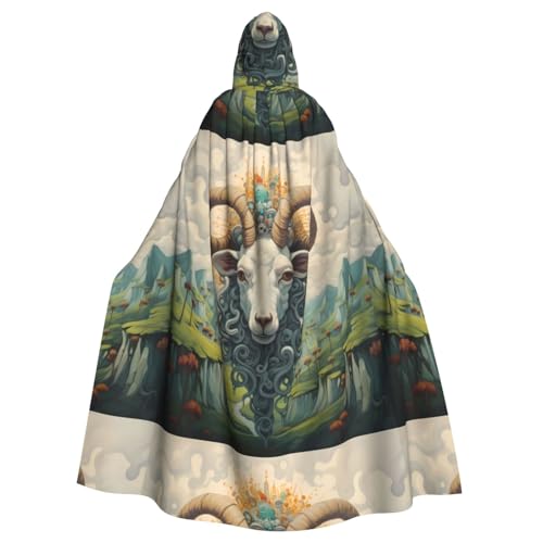 YYHWHJDE The Leader Of The Valley Muster Halloween Erwachsene Kapuzenumhang Umhang für Rollenspiele, Bühnenkostüme, Partys Pflegeleicht YYHWHJDE The Leader Of The Valley Muster Halloween Erwachsene Kapuzenumhang Umhang für Rollenspiele, Bühnenkostüme, Partys Pflegeleicht von YYHWHJDE