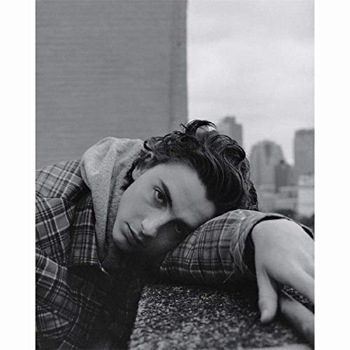 YYLPLLE Erwachsene Puzzle Klassisch Film Timothee Chalamet Romantik Stichsäge 1000 Stück Holzpuzzle Freizeit Anti Stress Spielzeug 50x75cm YYLPLLE Erwachsene Puzzle Klassisch Film Timothee Chalamet Romantik Stichsäge 1000 Stück Holzpuzzle Freizeit Anti Stress Spielzeug 50x75cm von YYLPLLE