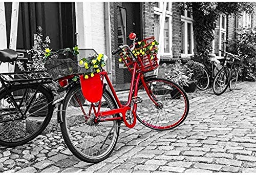 YYLPLLE Pädagogisches Puzzle 1000 Stück, Rotes Fahrrad Mit Blumen Auf Der Straße In Schwarz-Weißem Holzpuzzle, Herausforderndes Puzzle Für Erwachsene 50 X 75 cm YYLPLLE Pädagogisches Puzzle 1000 Stück, Rotes Fahrrad Mit Blumen Auf Der Straße In Schwarz-Weißem Holzpuzzle, Herausforderndes Puzzle Für Erwachsene 50 X 75 cm von YYLPLLE