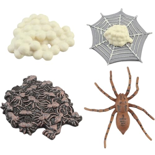 Kinderspieltierfiguren, Lebenszyklusspielzeug für Kinder, Spider Full Life Cycle Kids Pädagogische Spielzeuge, Safariologie -Lernspielzeug entwickelt Fantasie für Kinder, Kleinkinder und Tierliebhabe von Yaoliucp