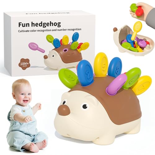 Yaoliucp Farbsortierspielzeug für Kleinkinder 1-3 mit Zahlen Hedgehog-förmige Farbsortierspielzeug pädagogische Feinmotor-Sortierspielzeug mit innerer Aufbewahrung, Geschenke für Kinder von Yaoliucp