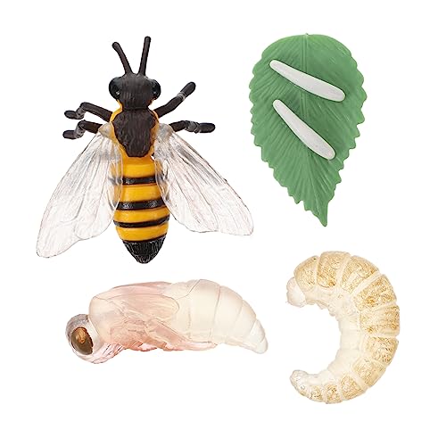 Yardwe Bienenwachstumszyklus Modell Simulationsbienenmodell Pädagogisches Lernspielzeug Dekoration für Kinderzimmer Wissenschaftliche Spielzeuge Yardwe Bienenwachstumszyklus Modell Simulationsbienenmodell Pädagogisches Lernspielzeug Dekoration für Kinderzimmer Wissenschaftliche Spielzeuge von Yardwe