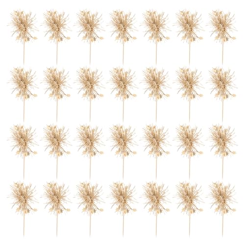 Yardwe 100 Stück Kuchendekorationen: Party-Cupcake-Dekorationen mit glitzerndem Lametta, Zahnstocher für Lebensmittel, Lametta-Dessert-Dekorationen für festliche Zusammenkünfte Yardwe 100 Stück Kuchendekorationen: Party-Cupcake-Dekorationen mit glitzerndem Lametta, Zahnstocher für Lebensmittel, Lametta-Dessert-Dekorationen für festliche Zusammenkünfte von Yardwe