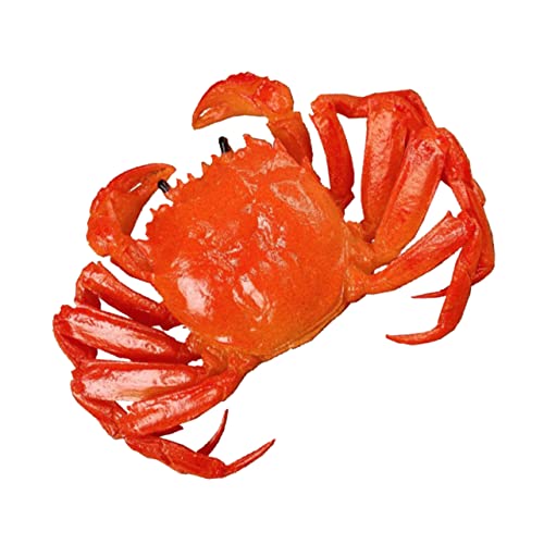 Yardwe Realistisches Krebssimulationsmodell aus Geruchlosem PVC Kindgerechtes Lernspielzeug zur Praktischer Fähigkeiten und Kooperation Farbenfroh für Kinderzimmer und Unterricht für Yardwe Realistisches Krebssimulationsmodell aus Geruchlosem PVC Kindgerechtes Lernspielzeug zur Praktischer Fähigkeiten und Kooperation Farbenfroh für Kinderzimmer und Unterricht für von Yardwe