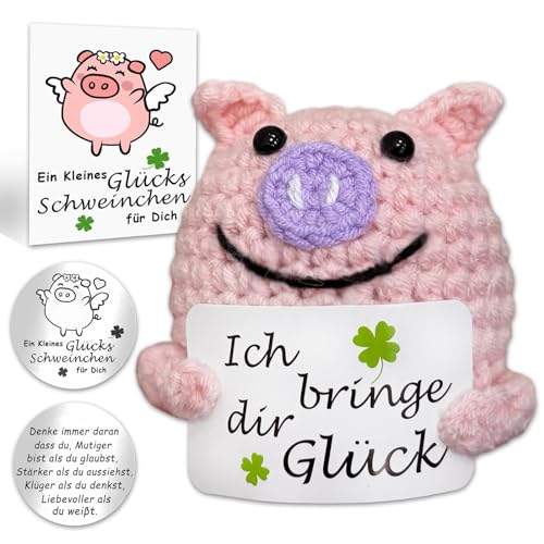 Ycaaeo Glücksbringer Prüfung Glücksschwein Deutsch Pocket Hug, Positive Geschenke für Krebspatienten Alles Wird Gut Geschenk Mutmacher Aufmunterung von Ycaaeo