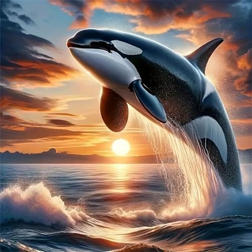 1000 Teile Puzzle für Erwachsene mit Sonnenuntergang Meer Wal Puzzles, EIN Herausforderndes Rätsel,Puzzles für Die Ganze Familie,1000 DIY Kunst Puzzle Home Dekoration Geschenke 1000 Teile Puzzle für Erwachsene mit Sonnenuntergang Meer Wal Puzzles, EIN Herausforderndes Rätsel,Puzzles für Die Ganze Familie,1000 DIY Kunst Puzzle Home Dekoration Geschenke von Yeecer