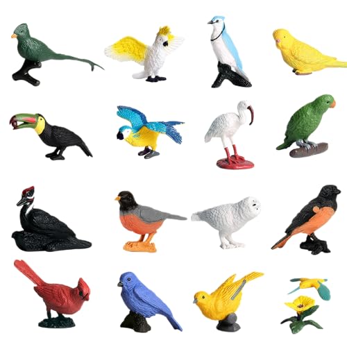 Yeory Mini -Vögel -Figuren, 16pcs Plastikvogelspielzeug für Kinder, Tierfiguren, Tiermodelle Spielzeug, Vogeltierfiguren von Yeory