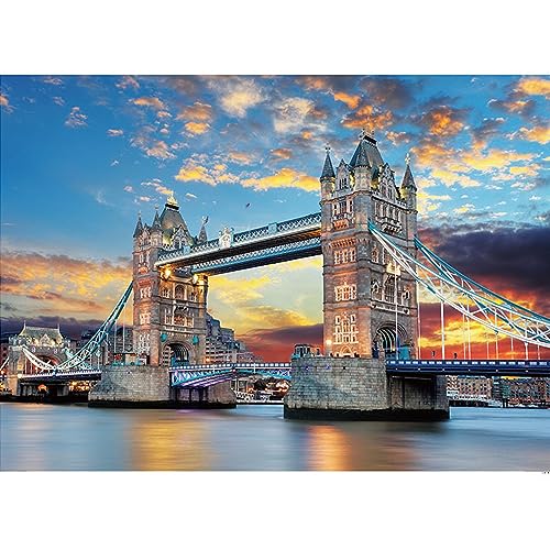 1000 Teile Puzzles für Erwachsene, London Bridge/Garden/Darrell Bush Canoe Lake/Night Aurora Light Jigsaw Puzzle, Puzzles 1000 Teile Erwachsene, Hund Katze Schildkröten Animal Puzzle 1000 Teile Kinder von Yiting