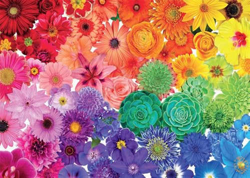 Yiting 1000 Teile Puzzle für Erwachsene: Regenbogenblumen Natur Schmetterling Weihnachten Kolibri Blumen Darrell Busch Kanu See Puzzle von Yiting