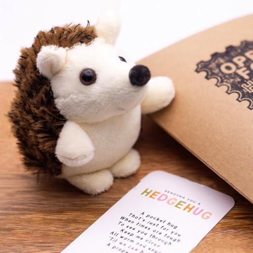 Pocket Bear Hug, Kuscheltier Igel, Plüschigel, Fingerpuppe Puppet Mini Igel, Glücksbringer Mutmacher Geschenk für Kinder Freunde Kollegen Liebhaber Geburtstag Hochzeit (A) von Yizemay