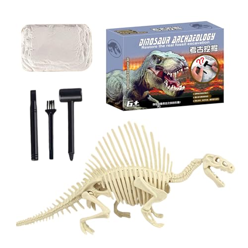 Ylnailky Fossilien Ausgrabungsset,Skelett Ausgrabungsset - Paläontologie Lernspielzeug Pädagogisches Spiel Kindergeburtstag Klassenaktivitäten Mint Lernen Ylnailky Fossilien Ausgrabungsset,Skelett Ausgrabungsset - Paläontologie Lernspielzeug Pädagogisches Spiel Kindergeburtstag Klassenaktivitäten Mint Lernen von Ylnailky