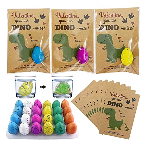 Ynnhik Dino Brutei Spielzeug - 24 Packung Dinosaurier-Zuchteier,Knacken Sie wachsendes Dinosaurier-Ei, das im Wasser schlüpft, Dino-Eier, pädagogische Geschenke für Babys über 3 Jahre von Ynnhik