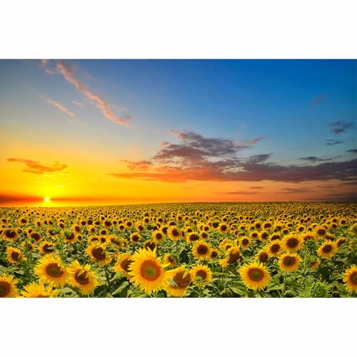 Puzzle Erwachsene Holz Puzzle 1000 Teile Romantisch Einhorn Blau (Sunflower at Sunset) von Yobooom