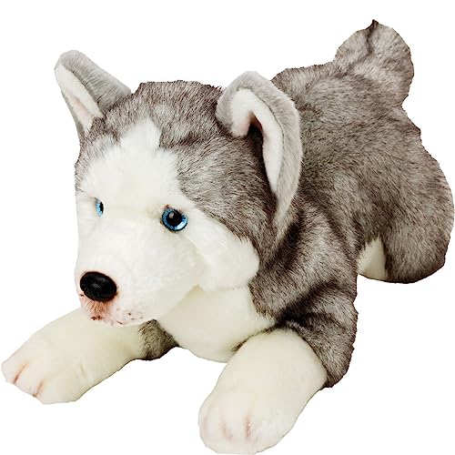 Yomiko 12057 - Suki Gifts Plüschtier Husky Hund, 36 cm von Yomiko