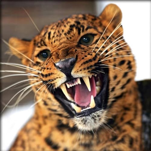 Puzzles 200 Teile, Puzzle Für Erwachsene, 28x28 cm Puzzle Lernspiel Herausforderung Spielzeug 200 Teile Leopard Puzzles für Erwachsene Puzzles 200 Teile, Puzzle Für Erwachsene, 28x28 cm Puzzle Lernspiel Herausforderung Spielzeug 200 Teile Leopard Puzzles für Erwachsene von Yoonqun