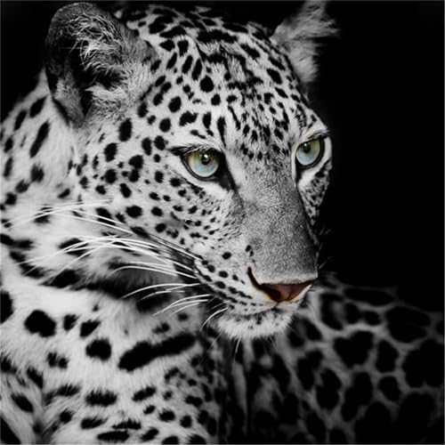 Puzzles 200 Teile, Puzzle Für Erwachsene, 28x28 cm Puzzle Lernspiel Herausforderung Spielzeug 200 Teile Leopard Puzzles für Erwachsene Puzzles 200 Teile, Puzzle Für Erwachsene, 28x28 cm Puzzle Lernspiel Herausforderung Spielzeug 200 Teile Leopard Puzzles für Erwachsene von Yoonqun