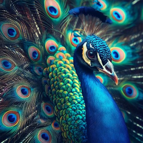 Puzzles 200 Teile, Puzzle Für Erwachsene, 28x28 cm Puzzle Lernspiel Herausforderung Spielzeug 200 Teile Pfauenvögel Puzzles für Erwachsene Puzzles 200 Teile, Puzzle Für Erwachsene, 28x28 cm Puzzle Lernspiel Herausforderung Spielzeug 200 Teile Pfauenvögel Puzzles für Erwachsene von Yoonqun