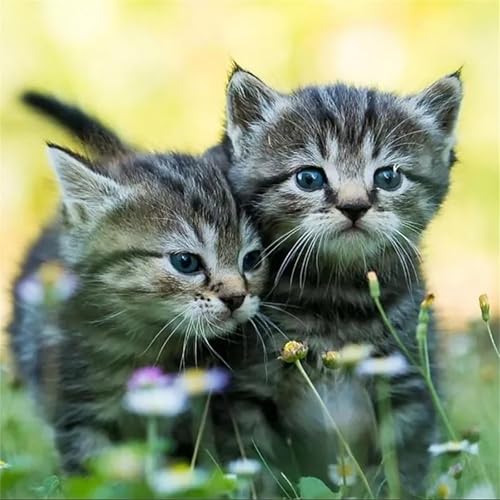 Puzzles 200 Teile, Puzzle Für Erwachsene, 28x28 cm Puzzle Lernspiel Herausforderung Spielzeug 200 Teile Tierkatzen Puzzles für Erwachsene Puzzles 200 Teile, Puzzle Für Erwachsene, 28x28 cm Puzzle Lernspiel Herausforderung Spielzeug 200 Teile Tierkatzen Puzzles für Erwachsene von Yoonqun