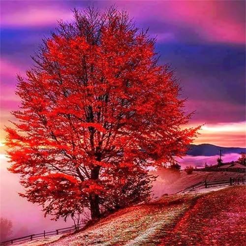 Puzzles 500 Teile, Puzzle Für Erwachsene, 45x45 cm Puzzle Lernspiel Herausforderung Spielzeug 500 Teile Mangrove Puzzles für Erwachsene Puzzles 500 Teile, Puzzle Für Erwachsene, 45x45 cm Puzzle Lernspiel Herausforderung Spielzeug 500 Teile Mangrove Puzzles für Erwachsene von Yoonqun