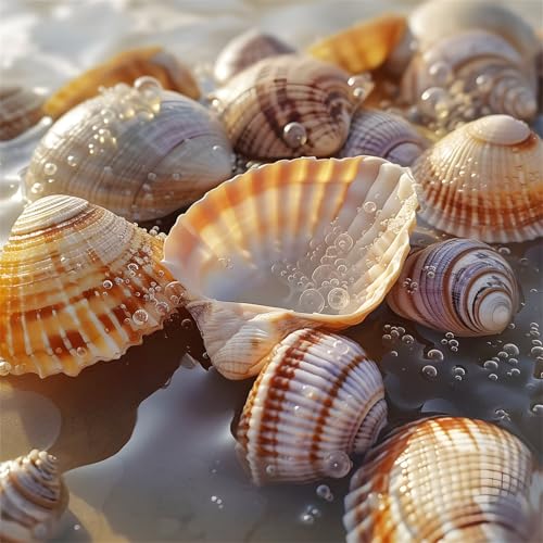 Puzzles 500 Teile, Puzzle Für Erwachsene, 45x45 cm Puzzle Lernspiel Herausforderung Spielzeug 500 Teile Meereslebewesen Muscheln Puzzles für Erwachsene Puzzles 500 Teile, Puzzle Für Erwachsene, 45x45 cm Puzzle Lernspiel Herausforderung Spielzeug 500 Teile Meereslebewesen Muscheln Puzzles für Erwachsene von Yoonqun