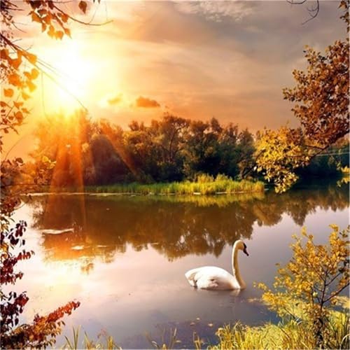 Puzzles 500 Teile, Puzzle Für Erwachsene, 45x45 cm Puzzle Lernspiel Herausforderung Spielzeug 500 Teile Sonnenuntergang See Schwan Puzzles für Erwachsene Puzzles 500 Teile, Puzzle Für Erwachsene, 45x45 cm Puzzle Lernspiel Herausforderung Spielzeug 500 Teile Sonnenuntergang See Schwan Puzzles für Erwachsene von Yoonqun