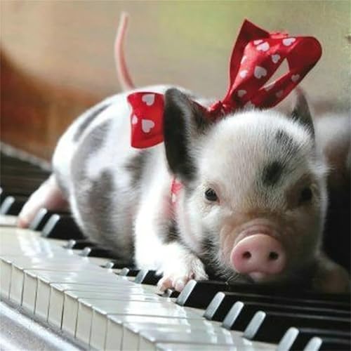 Puzzles 70 Teile, Puzzle Für Erwachsene, 16x16 cm Puzzle Lernspiel Herausforderung Spielzeug 70 Teile Klavierschwein Puzzles für Erwachsene Puzzles 70 Teile, Puzzle Für Erwachsene, 16x16 cm Puzzle Lernspiel Herausforderung Spielzeug 70 Teile Klavierschwein Puzzles für Erwachsene von Yoonqun